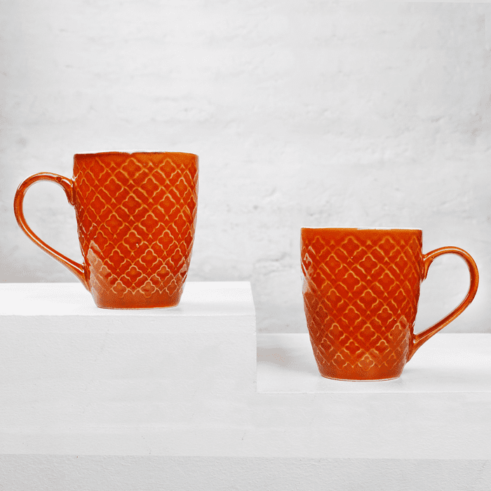 Earth Store Orange Mug  (Set of 2)