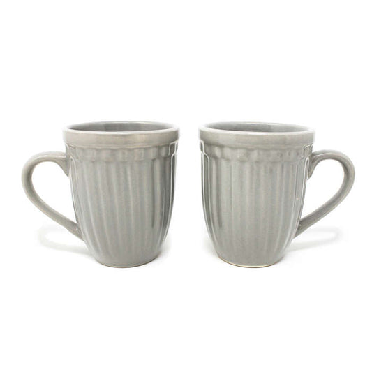 Earth Store Grey Glam Matte Mug  (Set of 2)