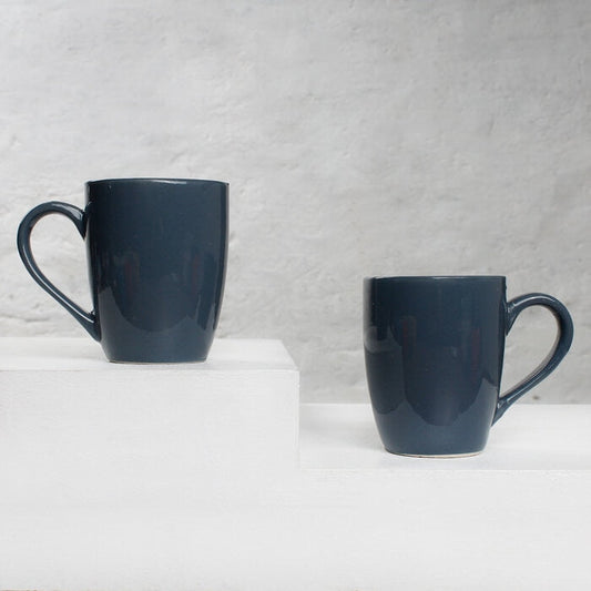 Earth Store Solid Grey Mug (Set of 2)